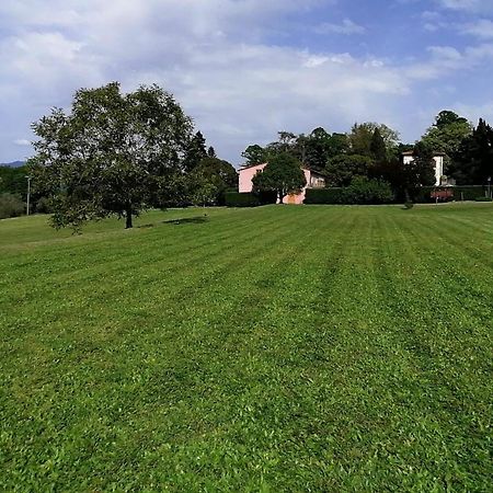 Willa Residenza Le Api Lukka Zewnętrze zdjęcie